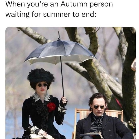 Unlisted 🐈‍⬛ 💨 - Picture 3 of 11